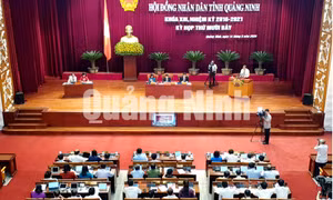 Kỳ họp thứ 17, HĐND tỉnh khóa XIII, tháng 5-2020