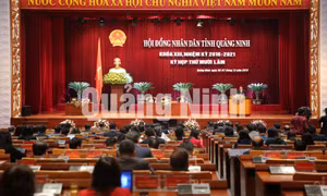 Kỳ họp thứ 15, HĐND tỉnh khóa XIII, tháng 12-2019
