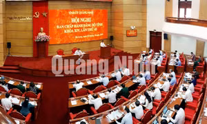 Kỳ họp thứ 43, BCH Đảng bộ tỉnh khoá XIV, tháng 10-2019