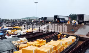 Các cảng xuất nhập khẩu hàng hoá tại TP Móng Cái