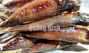 Cá nục một nắng