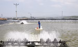 Nông thôn mới huyện Đầm Hà