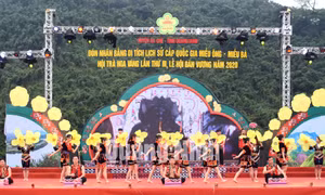 Hội Trà hoa vàng lần từ lần thứ I-IV