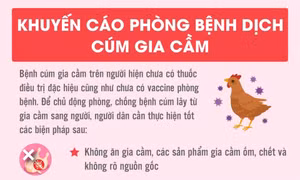 Những điều cần biết để phòng, chống bệnh dịch cúm gia cầm