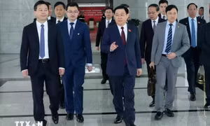 Chủ tịch Quốc hội đến thăm Khu thí điểm thương mại tự do Thượng Hải