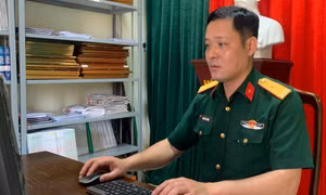 Trợ lý Chính trị năng động