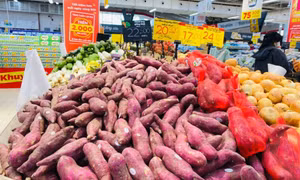 Khoai lang tại ruộng rớt giá, siêu thị vẫn bán vài chục ngàn đồng 1kg, vì sao?