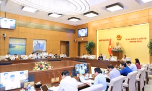 Di sản văn hóa cần được coi là nguồn lực cho phát triển​