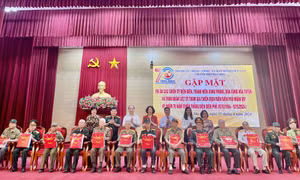TP Hạ Long: Gặp mặt tri ân những người tham gia chiến dịch Điện Biên Phủ