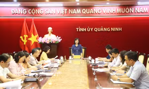 Thẩm định đề án công tác thực hiện quy trình kiện toàn chức danh Phó Chánh Văn phòng Tỉnh ủy