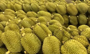 Nhiều nông sản tăng giá kỷ lục