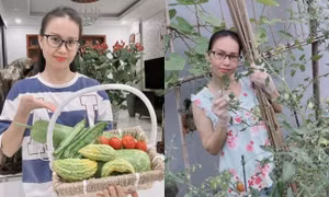 "Chị Tư" Cẩm Ly của hiện tại
