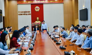 Đoàn công tác TP Vũng Tàu tìm hiểu thực tế về CCHC, quản lý trật tự đô thị, đấu giá quyền sử dụng đất tại TP Hạ Long