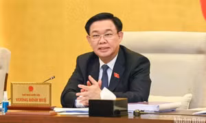 Nghiên cứu bổ sung chính sách ưu đãi thuế nhập khẩu với nguyên liệu làm thuốc