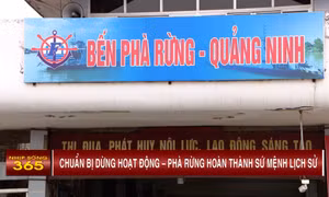 Chuẩn bị dừng hoạt động - Phà Rừng hoàn thành sứ mệnh lịch sử