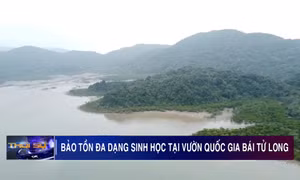 Bảo tồn đa dạng sinh học tại Vườn quốc gia Bái Tử Long