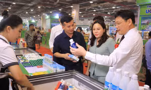 Khai mạc Hội chợ OCOP Quảng Ninh – Hè 2024