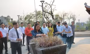 Quyền Chủ tịch nước Võ Thị Ánh Xuân tri ân anh hùng, liệt sĩ, chiến sĩ Điện Biên