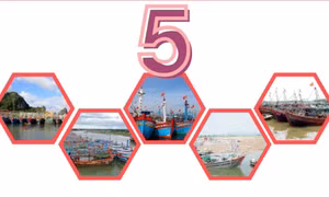 5 - là số khu neo đậu tránh trú bão cho tàu cá trên địa bàn tỉnh đủ điều kiện hoạt động năm 2024