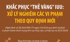 Khắc phục “thẻ vàng” IUU: Xử lý nghiêm các vi phạm theo quy định mới