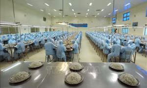 Khẳng định giá trị, thương hiệu Việt Nam