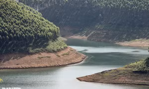 Chốt cách tính giá phát điện, hợp đồng mua bán điện