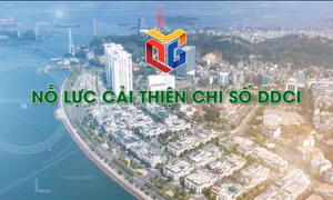 Nỗ lực cải thiện chỉ số DDCI