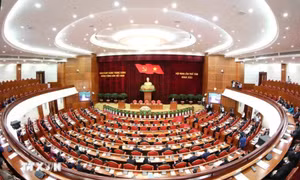 Công tác nhân sự của Đảng: Những bài học đắt giá khi 'thấy đỏ tưởng chín'