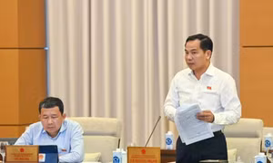 Cân nhắc bỏ quy định miễn thuế VAT đối với hàng hóa nhập khẩu có giá trị nhỏ