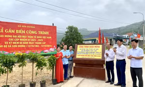 Hạ Long: Xây dựng 33 tuyến đường, tuyến phố kiểu mẫu chào mừng Đại hội MTTQ các cấp