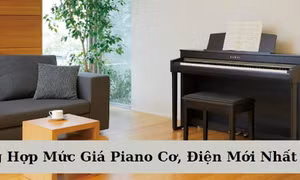 Tổng hợp mức giá Piano cơ, điện mới nhất năm 2024