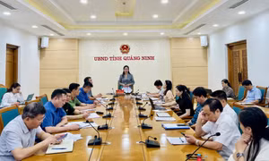 Đưa Carnaval Hạ Long 2024 trở thành sản phẩm đặc sắc, độc đáo có kết hợp với công nghệ số