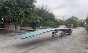 Nguy cơ từ xe tự chế, vật nuôi thả rông