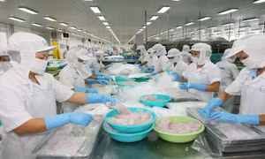 Mỹ tiếp tục tiêu thụ lượng lớn nông sản của Việt Nam
