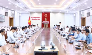 Hội nghị trao đổi kinh nghiệm giữa tỉnh Quảng Ninh và Hậu Giang