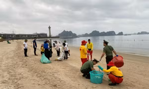 Dọn vệ sinh bãi biển, khu vực Sân khấu Carnaval 2024