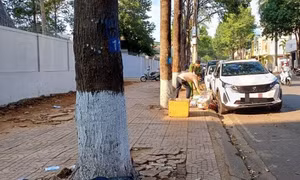 Truy tìm đối tượng manh động, đập vỡ kính xe ô tô trộm cắp tài sản giữa trưa