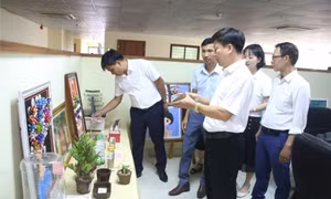 Lan tỏa tinh thần sáng tạo trong học sinh