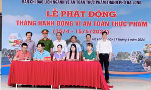 Hạ Long phát động “Tháng hành động vì an toàn thực phẩm” năm 2024