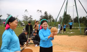 Sắc màu hội xuân 