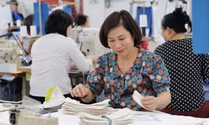 Dệt may có tín hiệu khởi sắc
