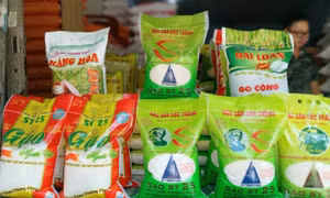 Giá gạo bán lẻ trong nước lên cao kỷ lục