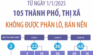 105 thành phố, thị xã sẽ không được phân lô, bán nền từ ngày 1/1/2025