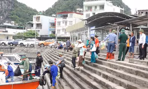 Toàn huyện Vân Đồn ra quân thực hiện “Ngày Chủ nhật xanh”