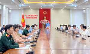 Quý I/2024: Phát hiện, xử lý 745 vụ buôn lậu, gian lận thương mại và hàng giả