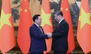 Chủ tịch Quốc hội Vương Đình Huệ hội kiến Tổng Bí thư, Chủ tịch nước Trung Quốc Tập Cận Bình