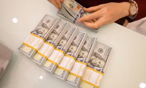 Từ hôm nay Ngân hàng Nhà nước bán ngoại tệ để hạ nhiệt sốt giá USD