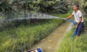 Thủ tướng yêu cầu tập trung bảo đảm cấp nước sinh hoạt trong các đợt xâm nhập mặn