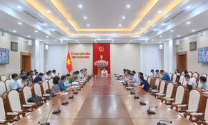 Nhanh chóng tháo gỡ khó khăn vướng mắc, đẩy nhanh tiến độ các dự án của ngành Điện