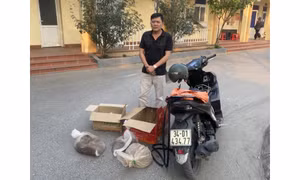 Phát hiện trường hợp vận chuyển động vật hoang dã